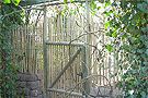 an old iron gate surrounded by green plants