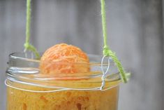 two oranges sitting in a jar with twine on the top and string attached to them