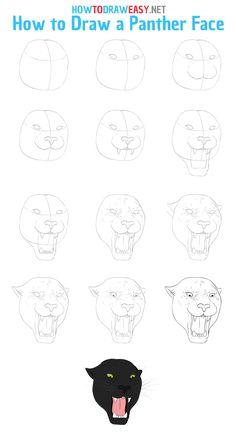 how to draw a panther face