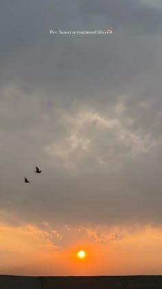 two birds flying in front of the sun during sunset or sunrise on a cloudy day