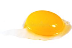 an egg yolk on a white background royalty images