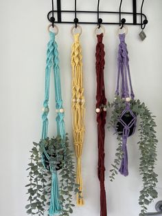 three different colored ropes hanging on a wall next to a potted plant with green leaves