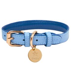 a blue leather dog collar with a gold plated medallion on the front and side