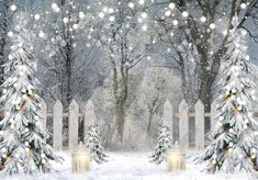 Winter Wonderland Photography Backdrop - Gatsby Backdrop Snow Scenes Photography, Pine Tree Background, Making Backdrops, Snowflake Photography, Studio Booth, Scene Photography, Summer Snow, Winter Wallpapers, Snowy Woods