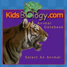 a tiger with it's mouth open in front of the words kids biology com