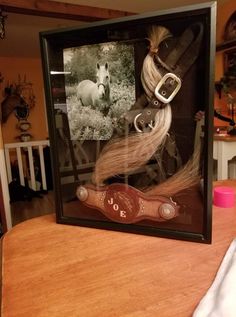 a horse's hair is displayed in a shadow box on a table with other items