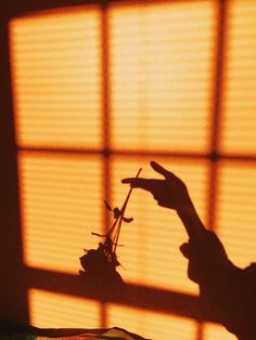 the shadow of a person holding a flower in front of a window with yellow blinds