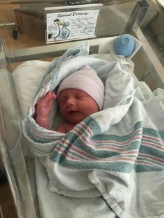 a newborn baby wrapped in a blanket under a glass case