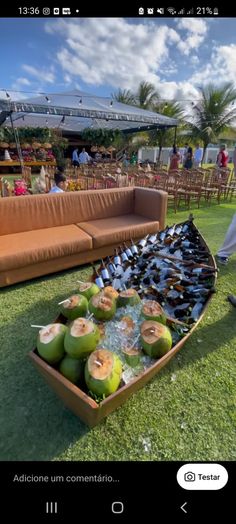 a man standing next to a couch filled with coconuts on top of a lush green field