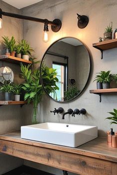 a bathroom sink sitting under a mirror next to a shelf with potted plants on it