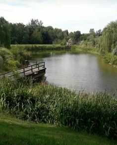 a wooden dock sitting on top of a lush green field next to a lake filled with water