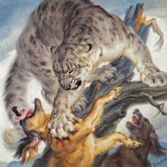 a painting of a cat attacking two dogs