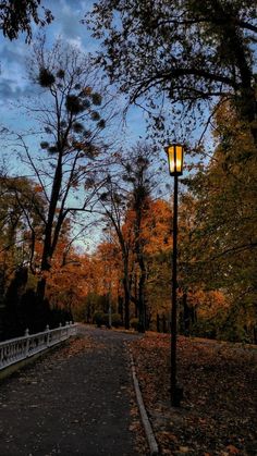 a street light sitting on the side of a road next to trees with leaves all over it