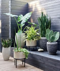 several potted plants are sitting on a bench