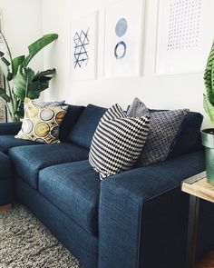 a living room with blue couches and potted plants