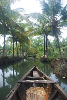 there is a boat that is going down the river with palm trees in the background