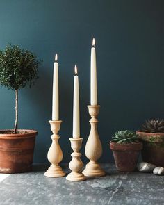 three candles sitting on top of a table next to potted plants