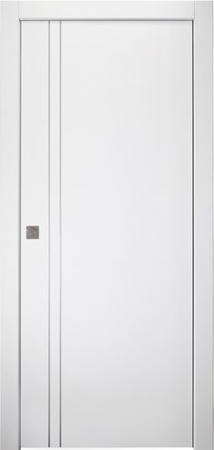 an empty white door with a handle on the left and right side, in front of a wall