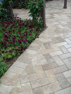 the walkway is lined with purple flowers and greenery