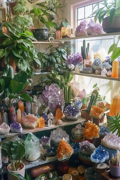 Full of life and sparkles Crystal And Plant Room, Crystal Vibes Aesthetic, Crystal Shop Interior, Decorating With Crystals, Crystal Shop Aesthetic, Selling Crystals, Crystal Display Ideas, Crystal Collection Display, Plants And Crystals