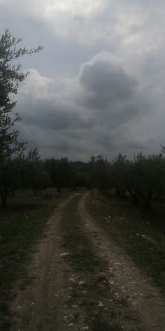 a dirt road with trees on both sides and clouds in the sky above it,