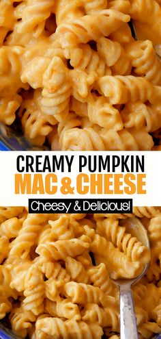 creamy pumpkin mac and cheese is in a bowl with a spoon