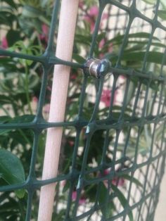 a close up view of a metal fence with flowers in the backgrounnd