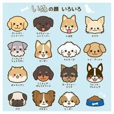 an illustrated poster with dogs in different languages