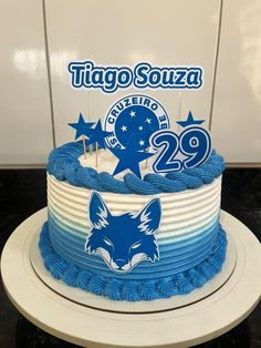 a blue and white cake with the number 29 on it