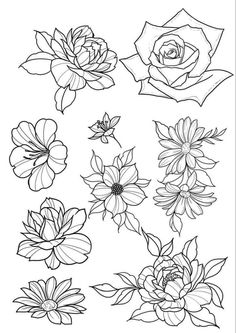 flowers are drawn in black and white ink on paper, with the outlines for each flower