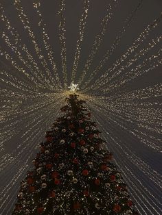 a large christmas tree with lots of lights on it's sides and the top lit up