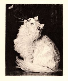 a black and white drawing of a cat