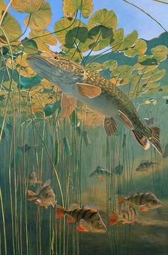 a painting of fish in the water surrounded by plants