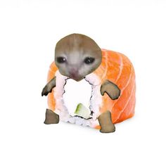 an animal with sushi on it's stomach and eyes looking at the camera