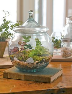 a fish bowl filled with plants and rocks on top of a table next to a book