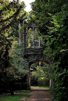 an old gate surrounded by trees and bushes