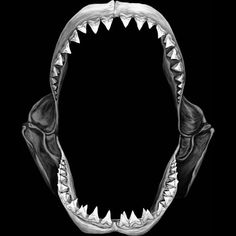 a drawing of a shark's mouth with sharp teeth