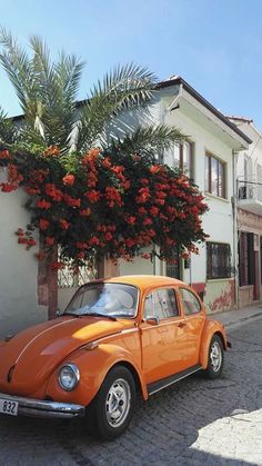 an orange car parked in front of a white building with red flowers on the tree