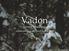 the words vadon mean meaning wilderness, unhappled treat of land are in front of snow - covered trees