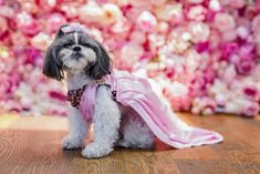 a small dog wearing a pink dress sitting on top of a wooden floor next to a pile of flowers