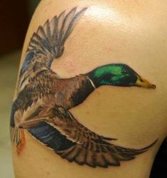 a woman's arm with a tattoo of a duck flying in the air, on top of her shoulder