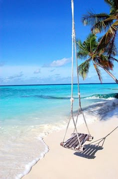 a hammock hanging from a palm tree on the beach