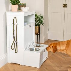 a dog drinking water out of its food bowl in front of a white cabinet with an open door