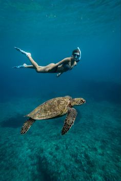 Girl swims next to sea turtle in hawaii waters with snorkel on. Free diving hawaii with sea turtles Snorkeling Pictures, Shotting Photo, Ocean Vibes, A Turtle, Marine Biology, Ocean Lover, Sea Turtles, Underwater Photography