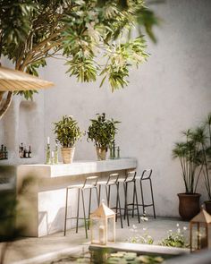 plants are sitting on tables in the middle of an outdoor area with chairs and potted plants