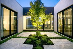 a tree in the middle of a courtyard with glass doors and windows on both sides