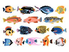 an assortment of colorful tropical fish on a white background