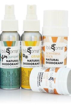 Blissoma Scentless Stick Natural Deodorant, $14.99 The Switch, Vegan Beauty, Diy Natural Products, Best Of The Best