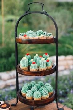 three tiered tray with cupcakes and cactus decorations