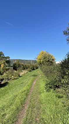 a dirt road in the middle of a grassy field